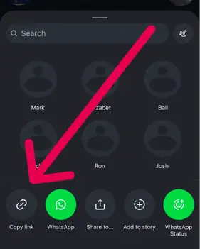 Copy Instagram link