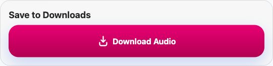 MP3 result with the Download Audio button in Save to Downloads
